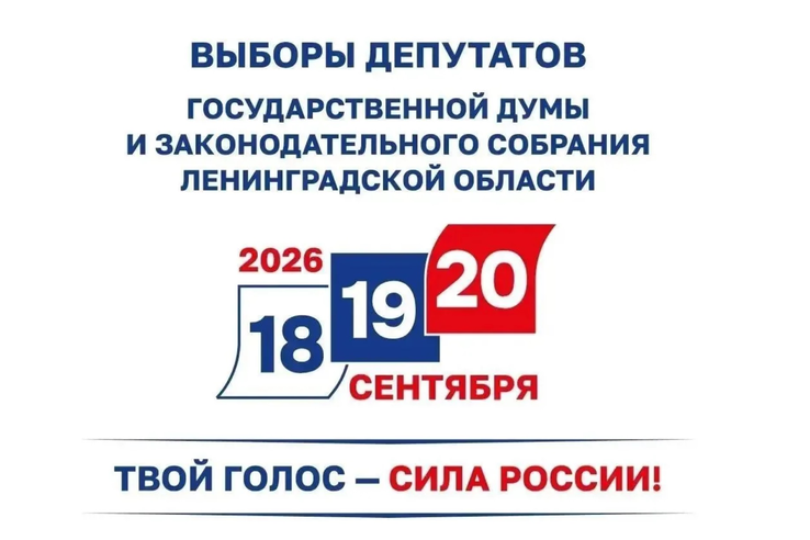 В Ленинградской области началось голосование на выборах-2026