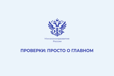 Правительство России отменило плановые проверки до 2030 года